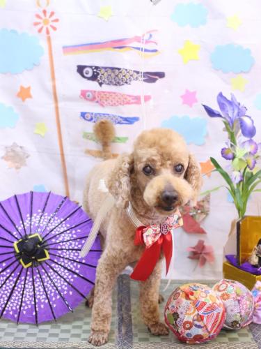 20240516ノンくん　